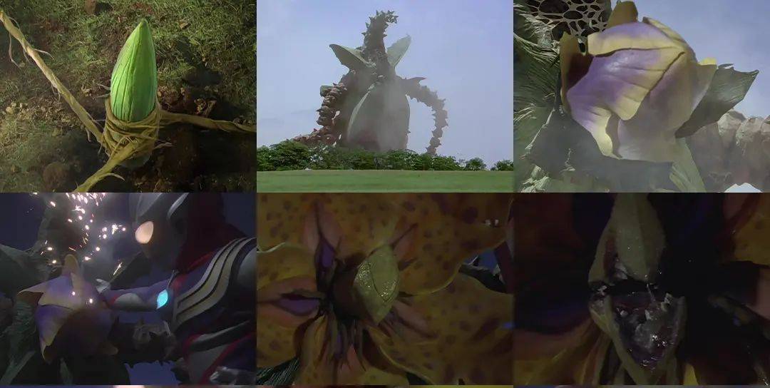 美尔_尔赞_集数