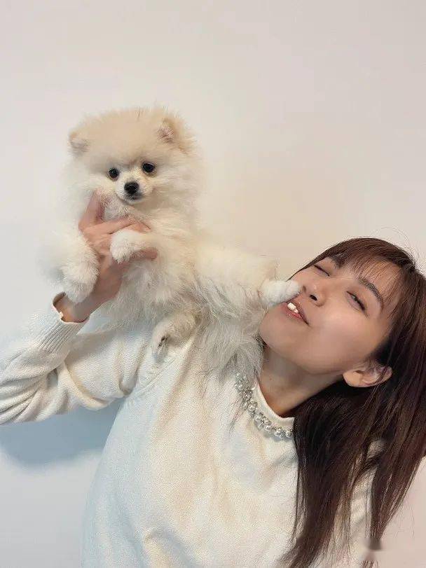 黄智雯一见倾心结人狗缘 怕被遗忘晚晚视像_mochi_令智雯_工作