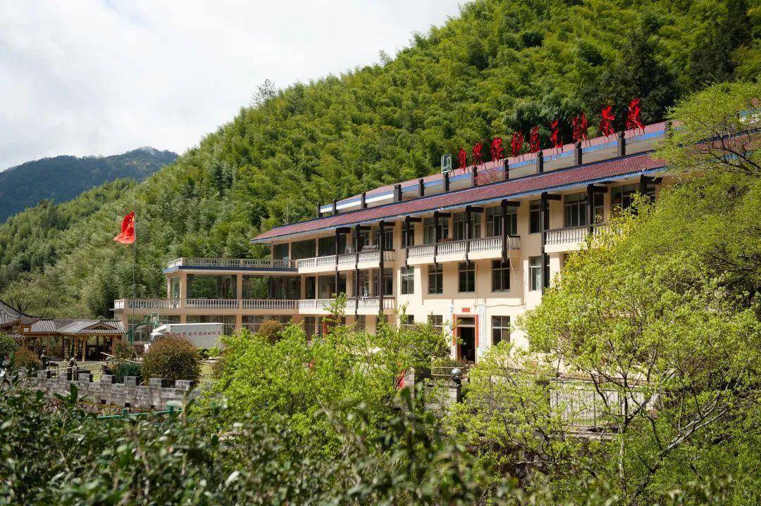 探秘桐木关"青楼",找回正山小种的松烟桂圆香_武夷山_传统_桐木村