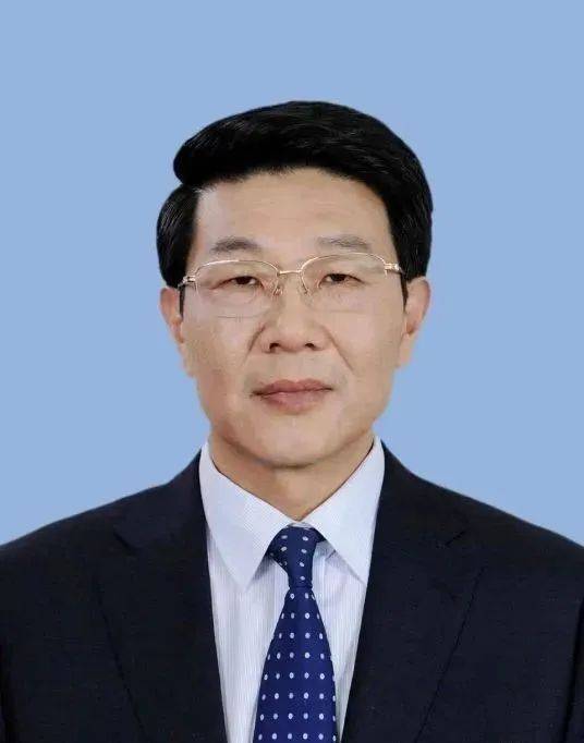 国网江苏省电力有限公司08汤军,国网上海市电力公司董事,总经理,党委