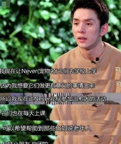 李佳琦送爱犬never去当治愈犬：希望它能做更有意义的工作