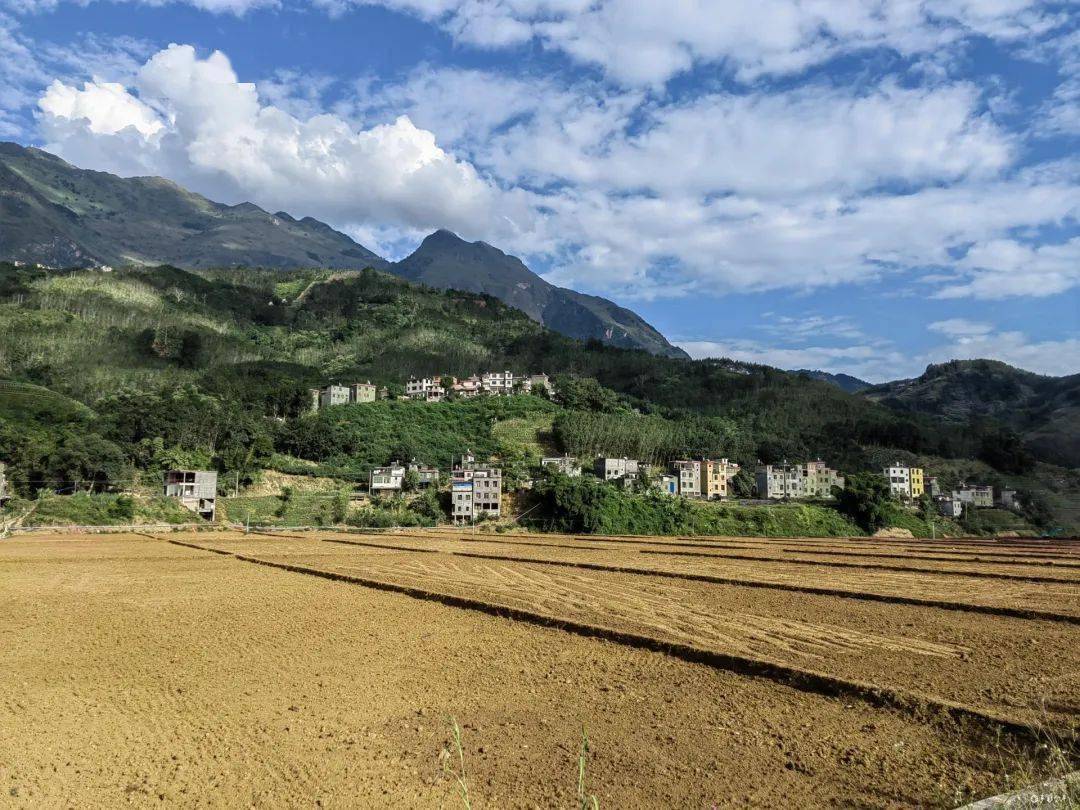 老勐镇:土地综合整治 赋能乡村振兴