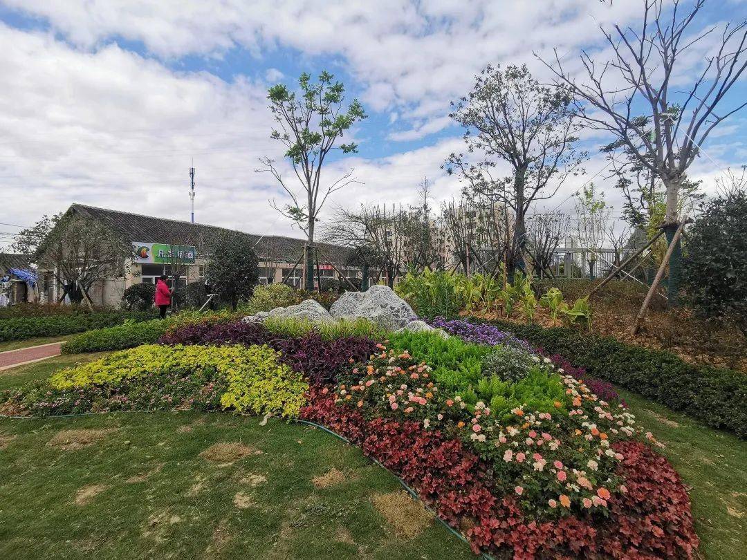 口袋公园总体呈现三角形状,流线型的花坛上,各类绿植花卉错落有致,一