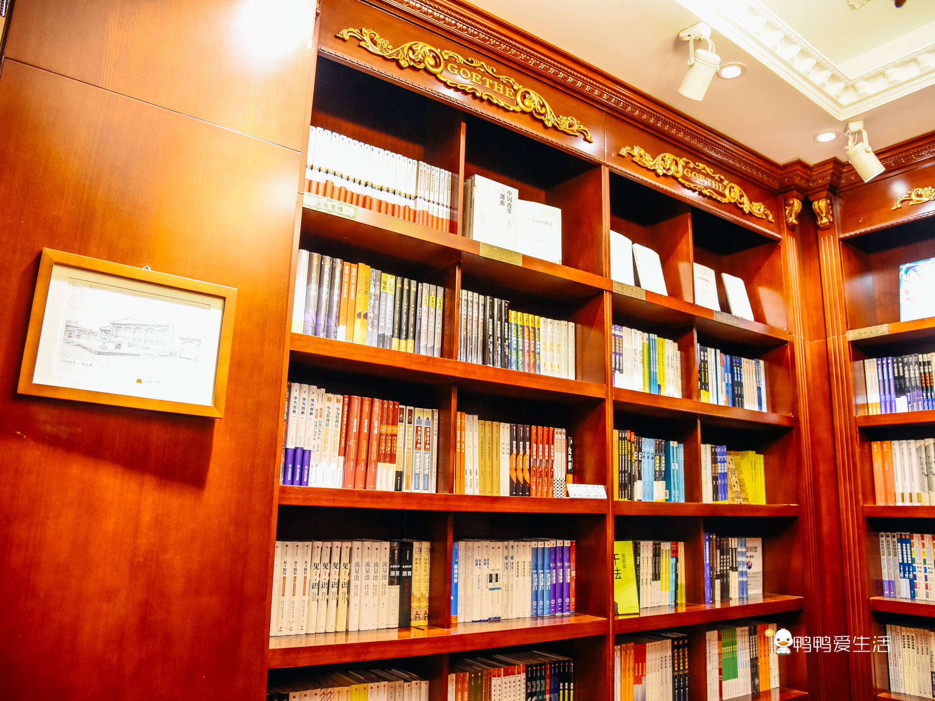 探寻沈阳最美书店，藏在百年欧式建筑内，集阅读、创意、艺术一体