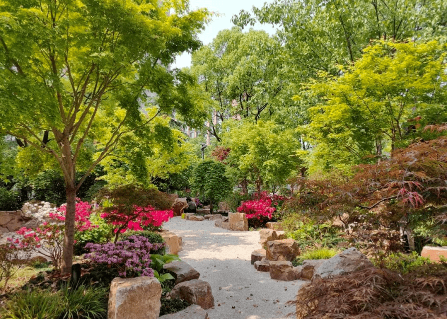 申城绿容"这十年"——公园绿地篇_建设_上海_全市