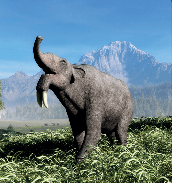 从上至下依次为:恐象,巨鼠,副巨犀在"人类到来""上一个千年"这两个