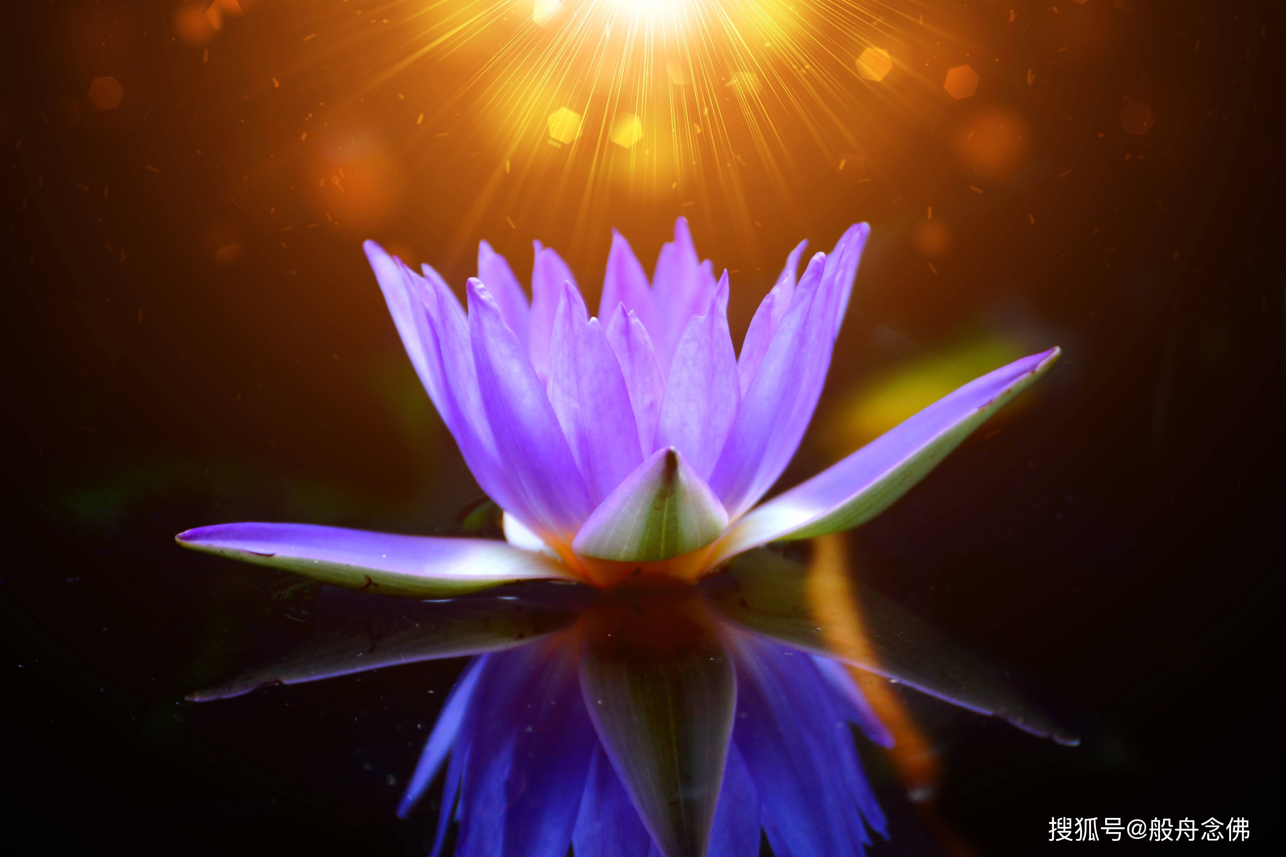 平常心是道,在平常心当中能保持勇猛精进才是真正的道心.