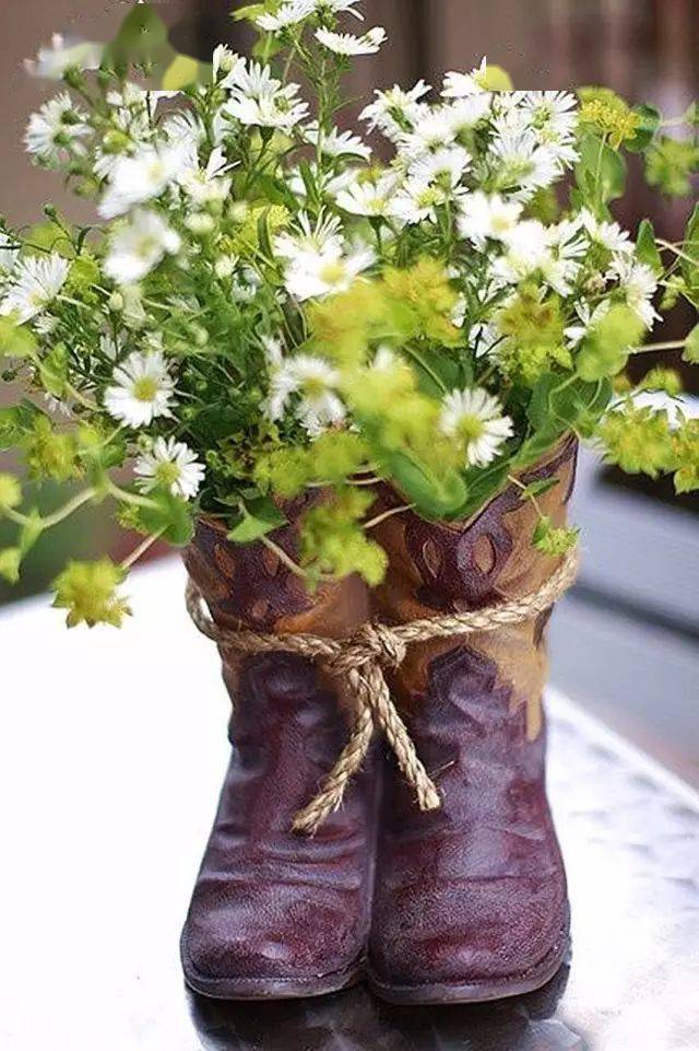 穿完的旧鞋子来种花,分分钟美爆你的家!_植物_雨鞋_花朵