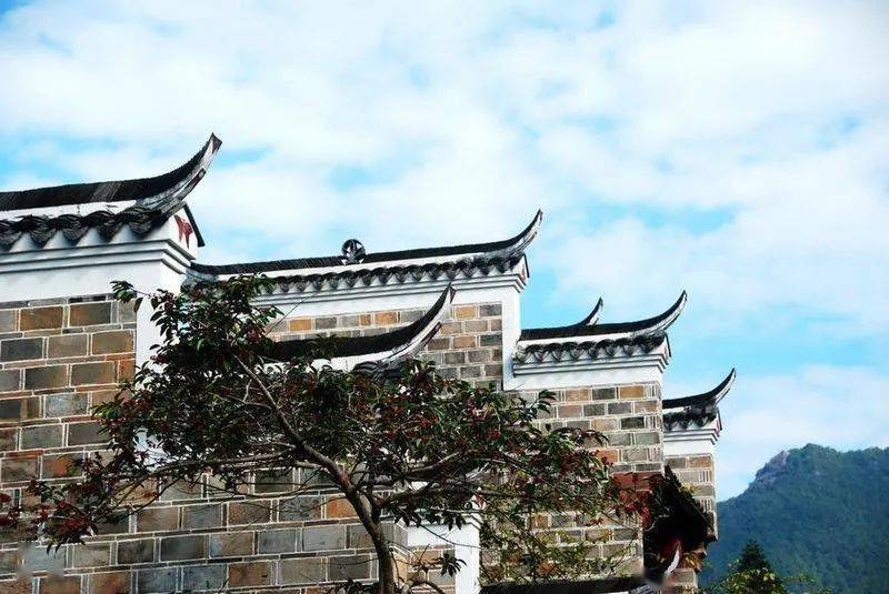 打卡楓林雲髻山,豪住溫泉度假山莊,暢泡溫泉,純玩2天~_嶺南_紅葉_遊客