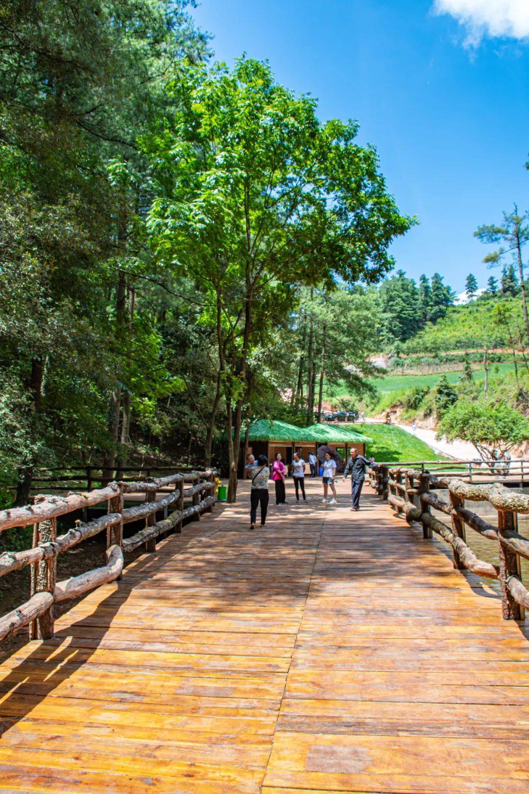 网红景点"昆明松鹿部落"吃喝玩乐攻略,不踩雷,内附详细行程!
