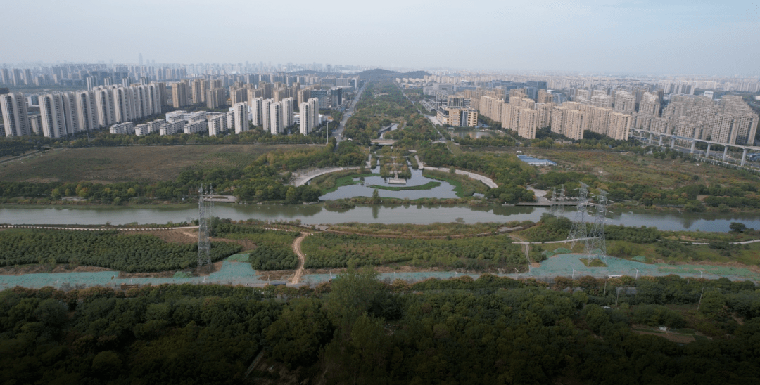 经过十几年的发展,芜湖城东板块已逐渐成为芜湖经济,政治,文化中心,而