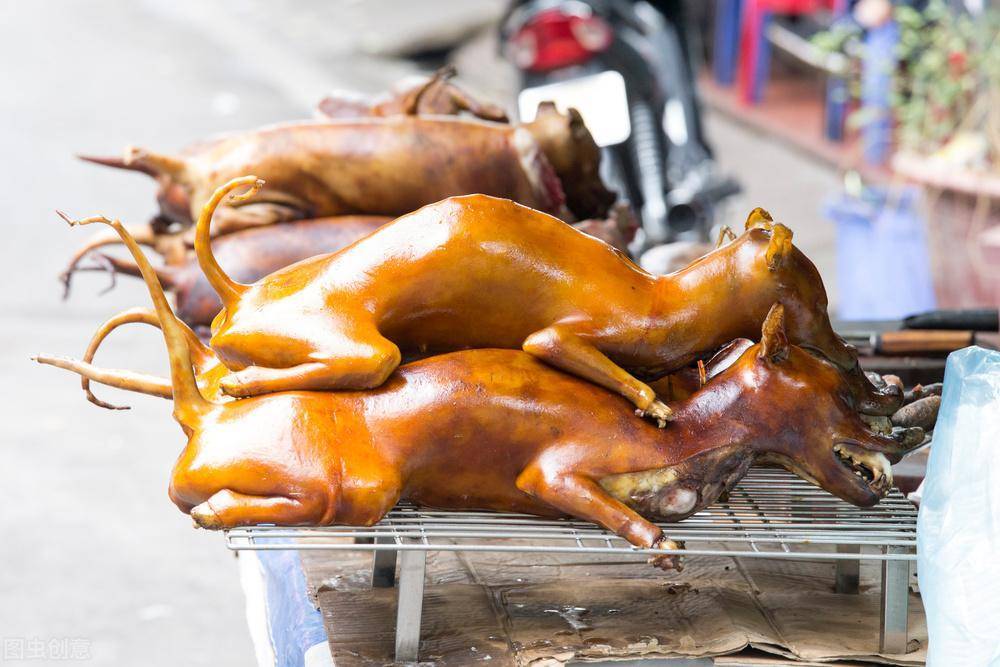 吃了患有狂犬病的狗肉,人会得狂犬病吗?_病毒_蛋白质_农村