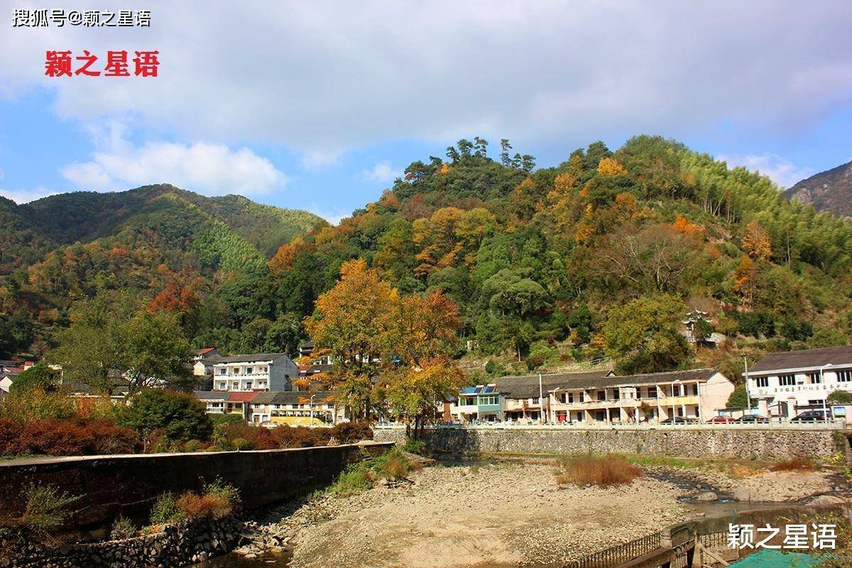 宁波最美金光大道，美得能够封神，请抵抗汽车摧残浪费蹂躏光景