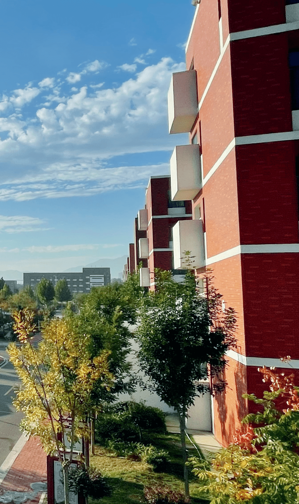 邹平二中:徜徉校园 醉美秋色_落叶_微风_山河