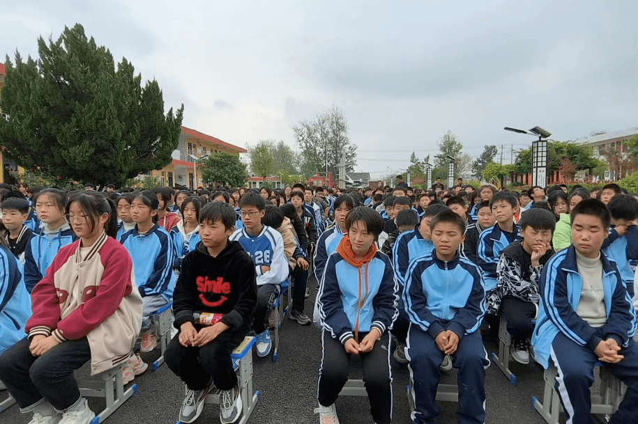 近日,张庄寨镇,刘套镇,石林乡做了这些工作~_整治_萧县_环境