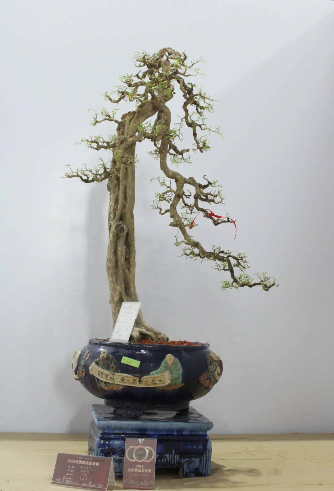 现场带货朱登峰先生为大家介绍拍品概况李小军先生为大家介绍拍品概况