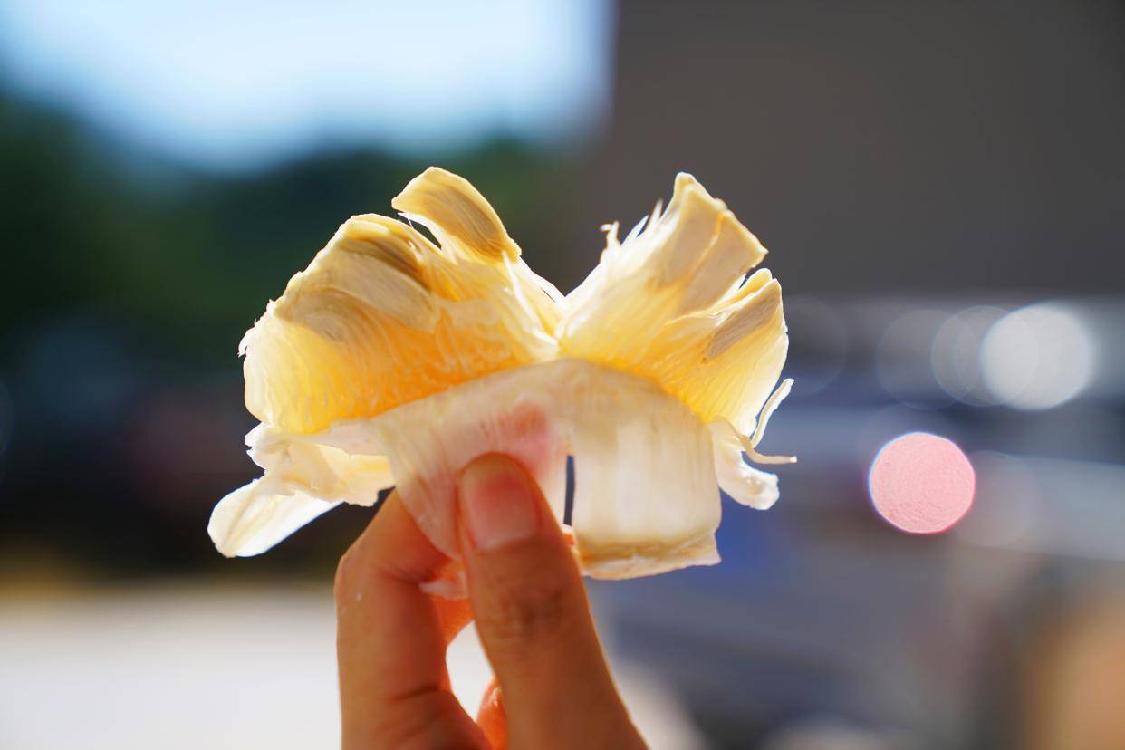 广东梅州的柚子丰收了,8棵百年以上的金柚树,吸引了全国的游客_中国_季节_时光