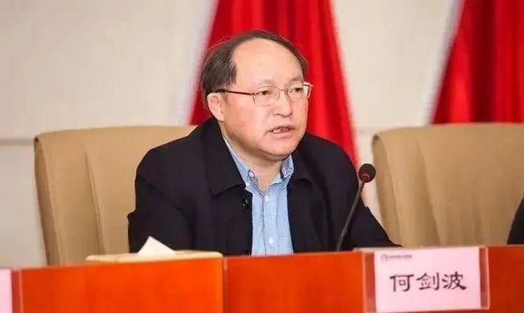 株洲市原常务副市长何剑波,被查_工作_石峰区_湖南省