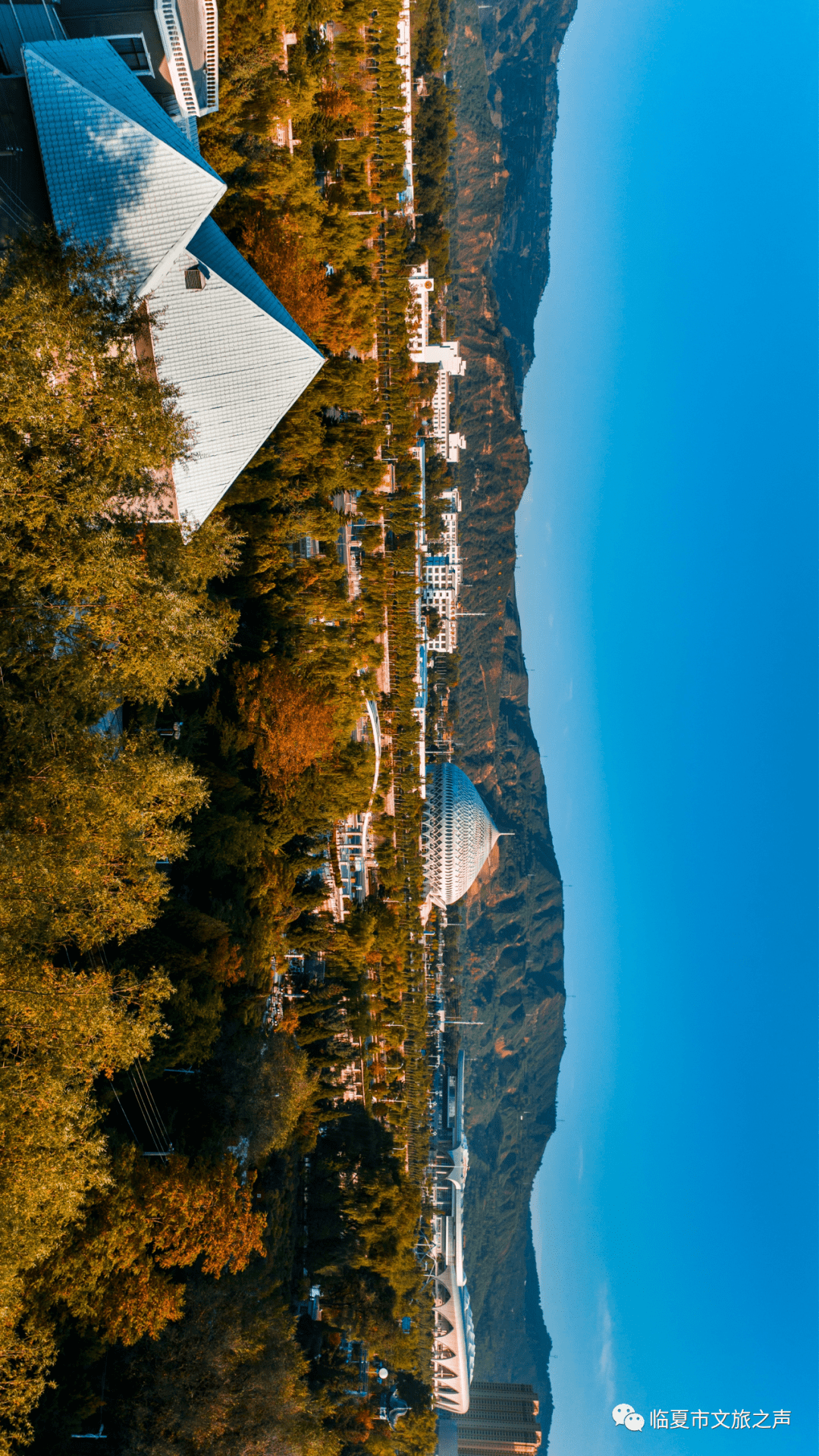 放慢脚步，在临夏和秋天碰个满怀~