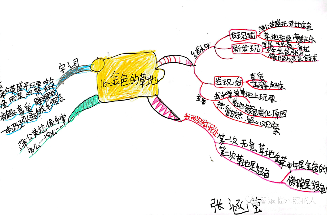 【线上学习,我和你在一起】思维导图《金色的草地》—三年四班学习