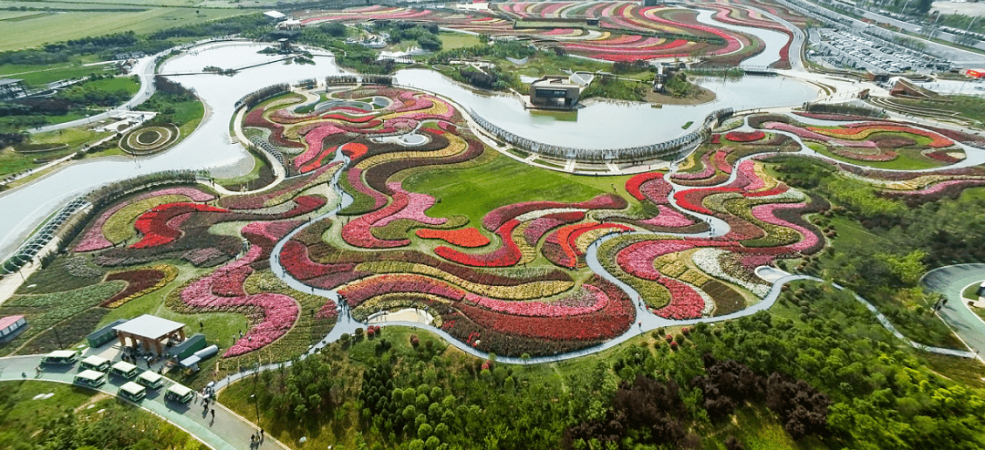 南阳成功申办第21届世界月季大会_中国_盛会_的发展