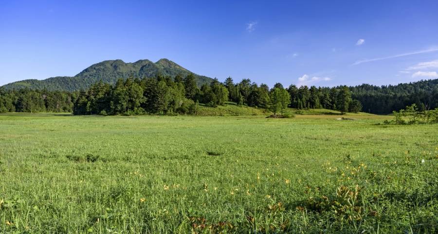 超低价家电在一线市场上到底图什么?-家电圈官网