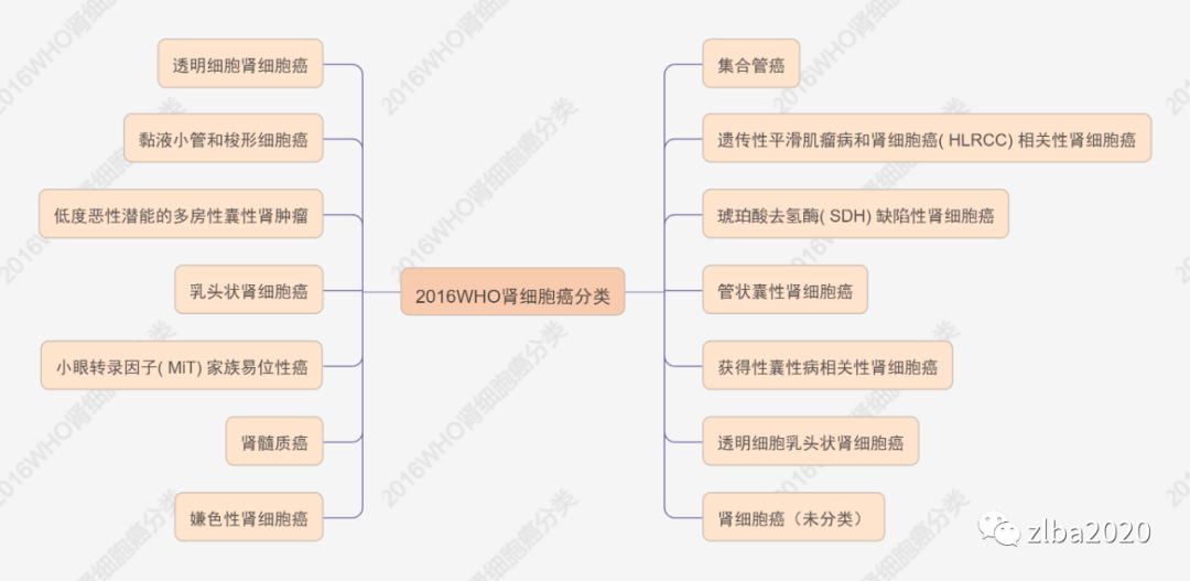 一文读懂ICD10肿瘤形态学编码_分类_细胞_的结果
