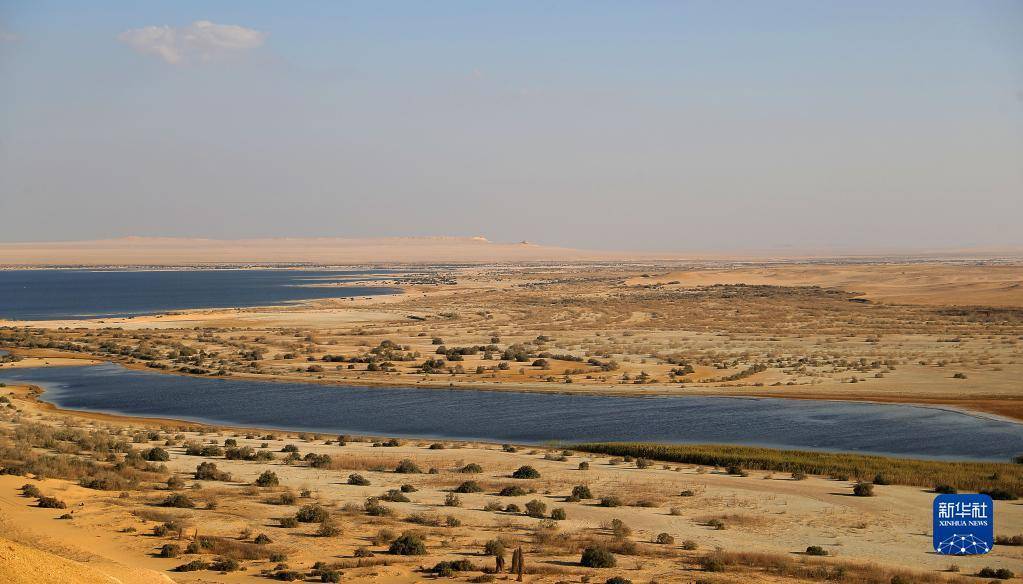 埃及七大绿洲图片