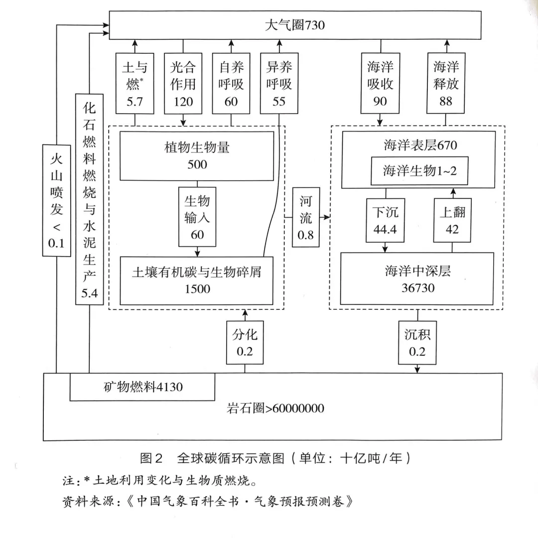 双碳课堂:地球上的碳是怎样循环的?
