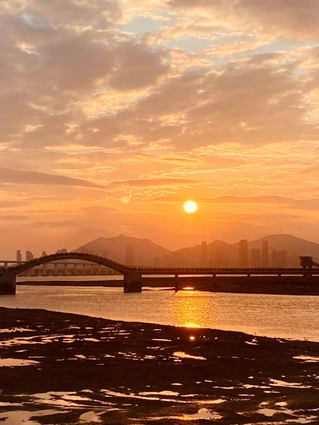 翔安下潭尾湿地公园,满眼皆是风景!_红树林_sdfd_栈道
