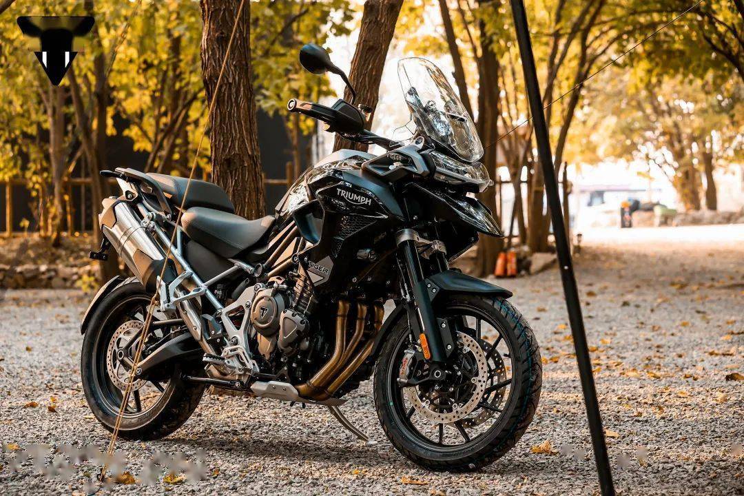 凯旋tiger1200全展示!_搜狐汽车_搜狐网