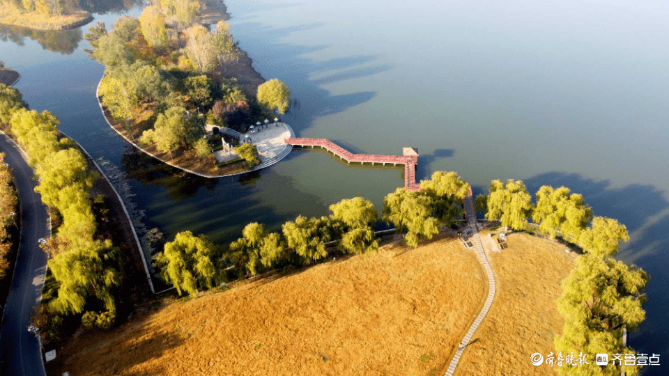 秋日的济南澄波湖彩桥飞跨,色彩斑斓美翻了