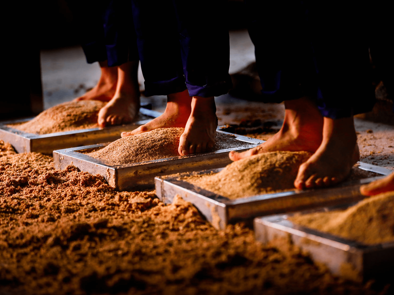 酿造_原料_酒曲