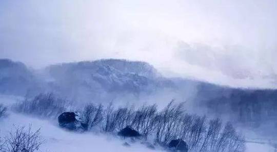 上海下雪了！但是你必然没见过西藏那么美得雪