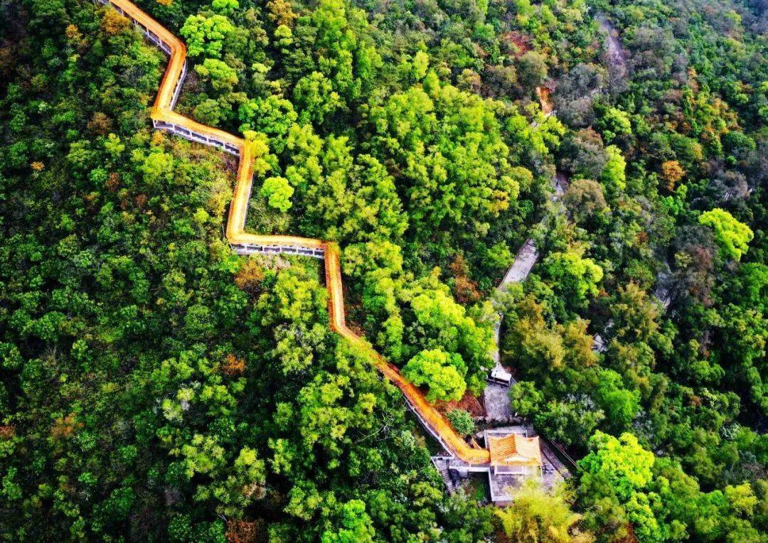 恩平鳌峰山公园图片