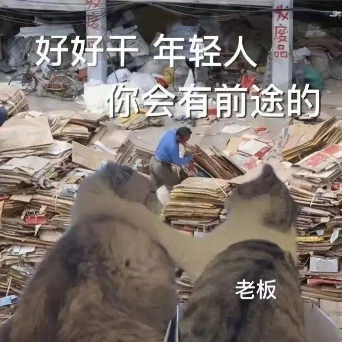 好好干,你会有前途的_表情_部分_建议