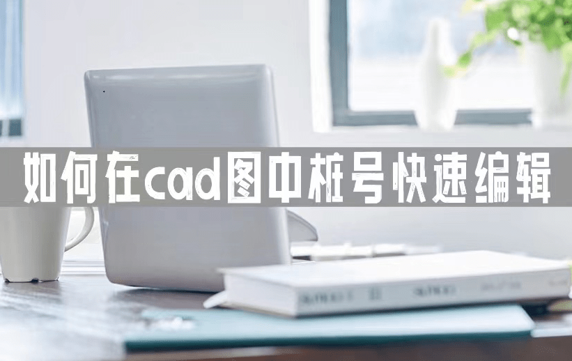 cad里程桩号自动编号