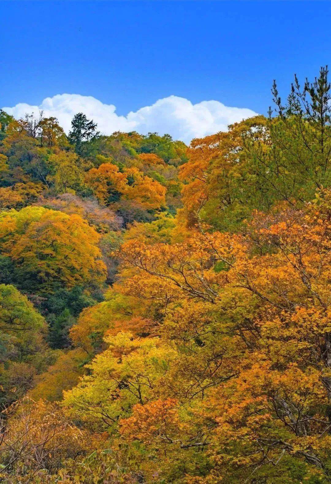 风景大片来袭