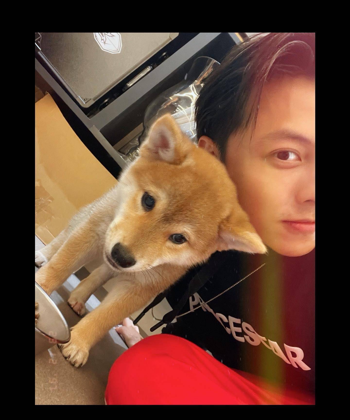 深夜突晒贴脸照发文公布新恋情_网友_momo_交往