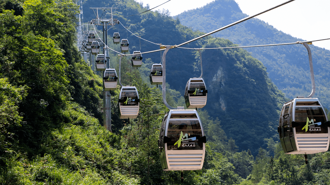 巴山大峡谷红豆杉栈道图片