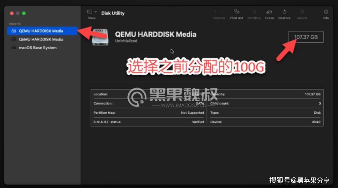 Unriad虚拟机上安装黑苹果