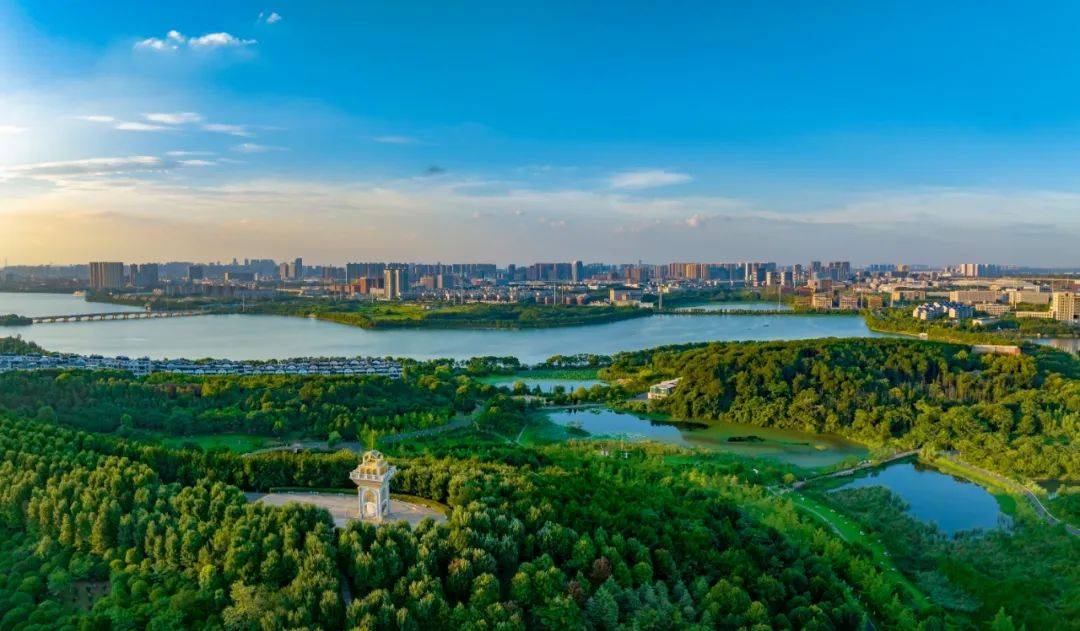 "湿"情画意,最美江夏!_湿地_保护_摄影