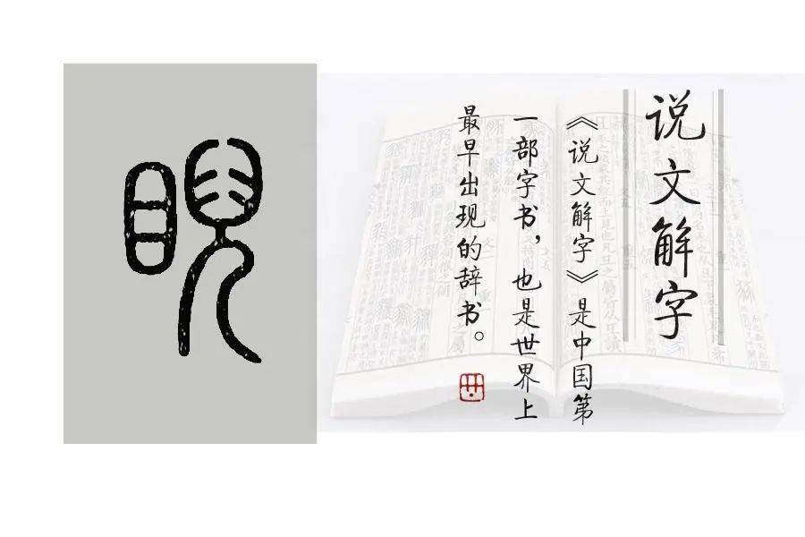 《说文解字》第643课：“傲视”中的“睨”是什么意思？