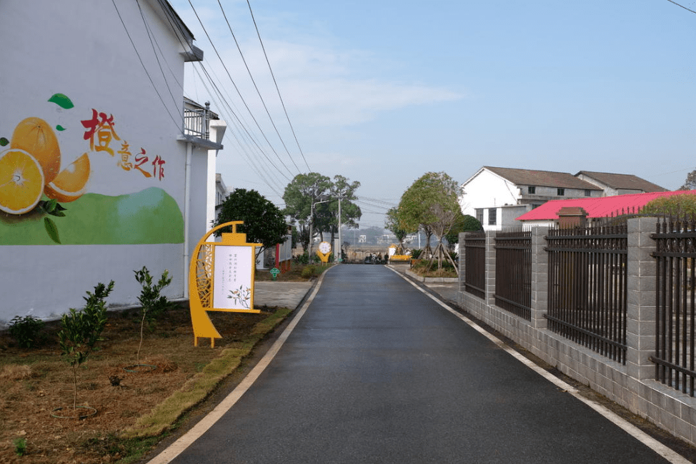 前"橙"似锦,汨罗这个村探索脐橙版"庭院经济"_屋场_王家坪村_白水镇