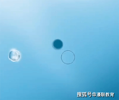 水中的水珠的画法？