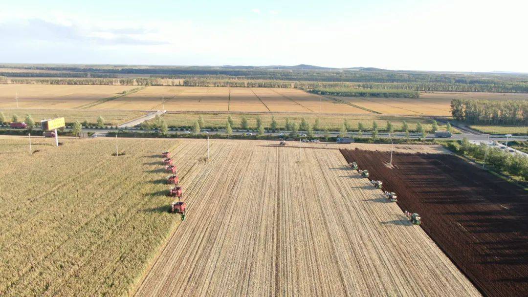 "我眼中的北大荒"摄影大赛参赛作品展示(第四期)_普阳农场_粮仓_建设