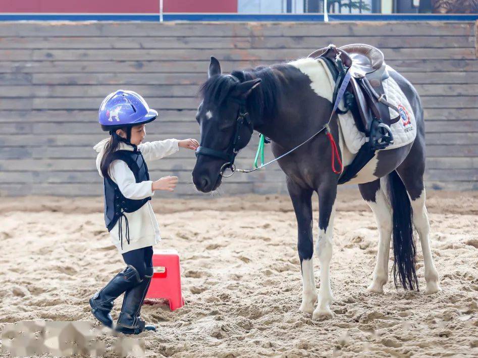 慈溪校区丨2022年度法国galop马术等级考试_青少年_国际视野_地址