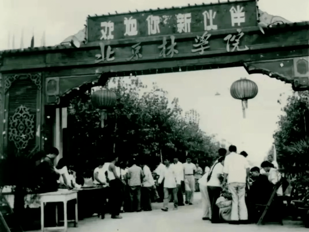 校庆特别征集 | 我和北林有个约!_母校_绿叶_祝福