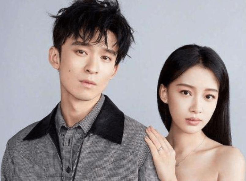 董子健母亲王京花公司被执行8500万,疑陷入民事纠纷,孙怡成赢家_任泉