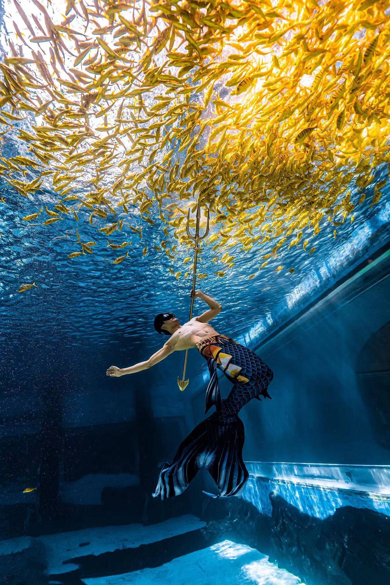 打破传统,刚柔并济丨国产男美人鱼,充满力量的阳刚大美